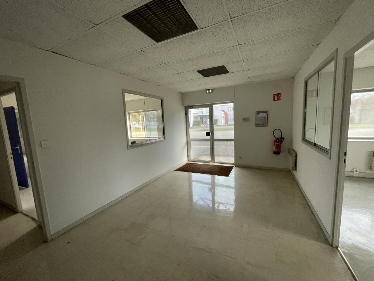 Local d'activité Fegersheim 2138m² Vente local d'activité Fegersheim Bas-Rhin OVACT2534046 7